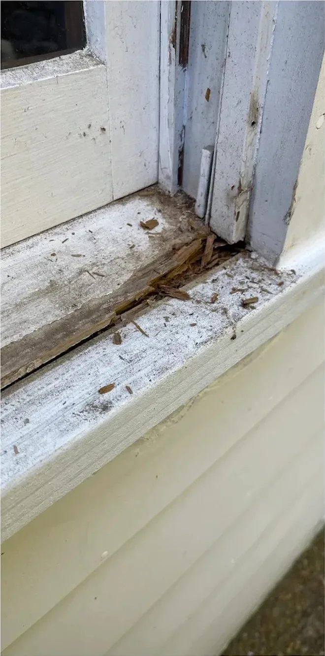 Damaged window sill before repair in Nashville TN